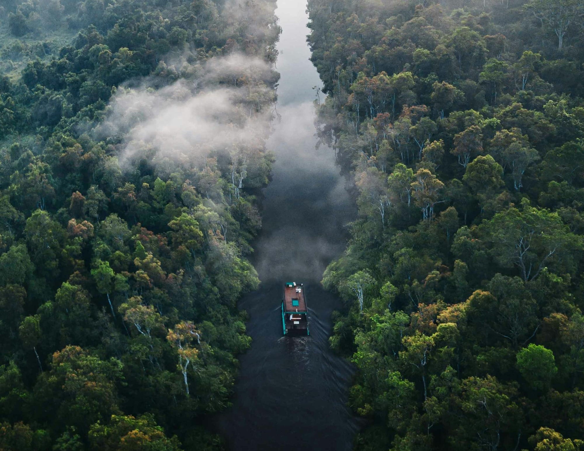 A boat sailing across the river surrounded by lush green rainforest.  photo by Filippo Cesarinin on Unsplash